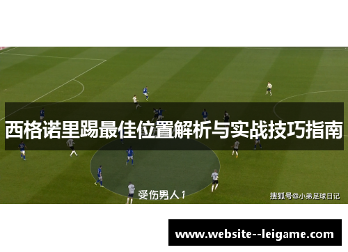 西格诺里踢最佳位置解析与实战技巧指南