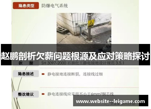 赵鹏剖析欠薪问题根源及应对策略探讨